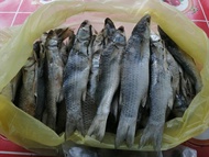 Ikan Belanak Kering/Masin - buang perut (0.5kg)