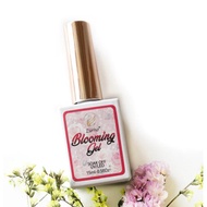 {{ZURNO}} Blooming Gel (Spread Gel)