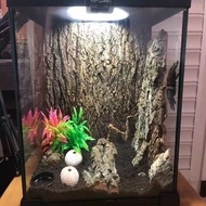 Real bark cork bark champagne bark climbing pet fish tank landscaping green plant decoration aquariu