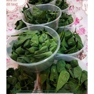 Tapai Pulut Daun Getah Mama Linda