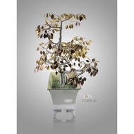 Bonsai Umbrella (Bonsai) Handmade/Art Craft Money Tree Tree/Lucky Artificial Trees
