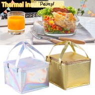 PDONY Thermal/Cooler Bag Foldable Durable Ice Storage Box Aluminum Foil