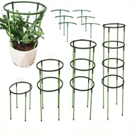 Greenhouses Arrangement Fixing Rod Cage Tool / Garden Plant Climb Support Pile Stand / Plastic Gardening Bonsai Care Holder / Semicircle Flower Pot Cage Holder