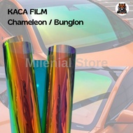 Chameleon Window Film Stickers Rainbow Window Film Chameleon Window Film
