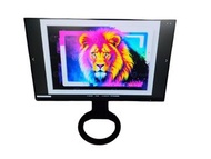 EIZO FlexScan EV2480 23.8" IPS LCD Black Monitor 顯示器 可升降及旋轉 黑色