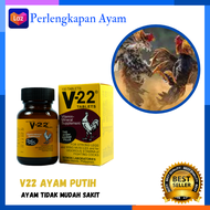 V22 Ayam Putih V22 Vitamin Ayam Aduan Obat Doping Ayam Pisau