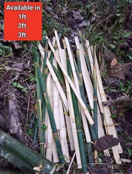 20 PCS BAMBOO SLAT, PLANT SUPPORT PANG BAKOD, PANG DESIGN, PANG SAHIG PANG DIY ETC.