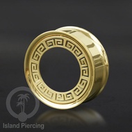 Gold Stainless Steel Plug piercing Earrings, Ear piercing tunnel, many variations and sizes