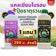 ชุด 1 แถม 1 (ปุ๋ยธาตุรวม VAMAX + CABMAX แคลเซียมโบรอน) ปลอดภัยขึ้นทะเบียนจากกรมวิชาการเกษตรอย่างถูกต