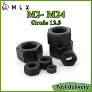 12.9 Black Hex Nut  M2 M2.5M3 M4 M5 M6 M8 M10 M12~ M24 【ZHX-MLX-MB-1】