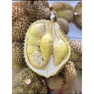 JJ194 Buah Durian Montong / Monthong Palu Fresh Utuh 1 KG - 6 KG
