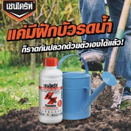 Chaindrite เชนไดร้ท์ สเตดฟาส 30 เอสซี น้ำยากำจัดปลวก ยาฆ่าปลวกแบบเข้มข้น ผสมน้ำ 60 เท่า เชนไดร์ท