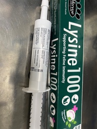 Lysine 貓