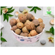 Buah Manjakani 500 gram