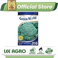 GW316 Brokoli Biji Benih Sayur (50 Seeds)/Broccoli Summer Green Vegetable Seed/Green World 316/GW 夏天