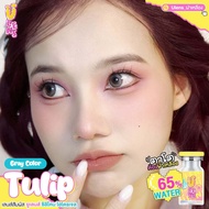 🔥คอนแทคเลนส์ Silicone Hydrogel✨ขนาดกลาง✨Tulip (Ulens)