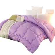 Maylee Multicolour Soft Queen Microfiber Comforter / Duvet (Promo)