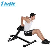 Home Gym Fitness Exercise Roman Chair