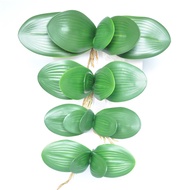 Phalaenopsis Leaf Simulation Leaf Feel Orchid Leaf High-End Leaf Mesh Flower Accessories Flower Arra