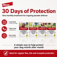 The veterinarian recommends canine flea and tick treatment and prevention products - K9 Advantix II