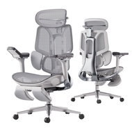 Hbada E3 Pro Ergonomic Office Chair with Dynamic Lumbar Support Adjustable Headrest & Adjustable Arm