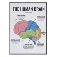 2025 Brain Canvas Painting Art Human Anatomy Muscles System Poster Body Map Wall Pictures For Medica