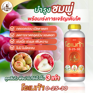 ปุ๋ยน้ำสูตรพรีเมียมสำหรับชมพู่ โอเมก้า 0-25-30 เปิดตาดอก ผลสวย บำรุงดอก บำรุงผล น้ำหนักดี ผลสวย ขนาด