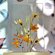 手作押花療愈LED小夜燈 | 植物小夜燈