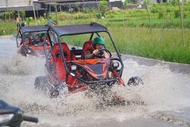 Ubud Jungle Buggy UTV Adventure with Lunch