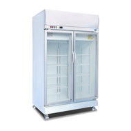 SNOW 2 DOOR CHILLER (LY1100BBC-H)