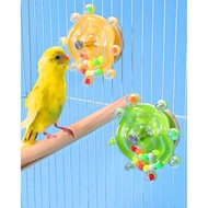 Mainan Burung, 2PCS Mainan Burung Conure yang Diperbaiki, Mainan Burung Beo Berputar, Mainan Burung 