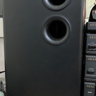 Technics SB-W32 Passive Subwoofer