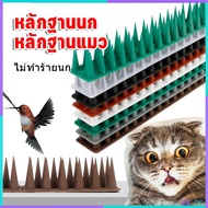[BDS] Bird Repellent Spikes Protection Nails Pigeon Cat Evidence Cat Spike Mat Anti Bird