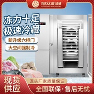 ST/🥦minus45℃Trolley Fast Frozen Refrigerator 10Plate Single Door Refrigeration Equipment Dumpling Soup round Steamed Stu