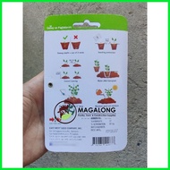 ☸ ∏ EAST-WEST SEEDS - AMPALAYA SEEDS - BONITO F1 HYBRID 10 Seeds