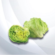 Iceberg Lettuce +/-400g