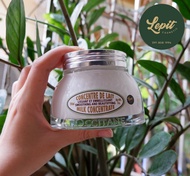 [Lepit Cosmetic] Dưỡng thể Loccitane Milk Concentrate