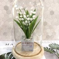 不老花藝/ 幸福鈴蘭小盆栽
