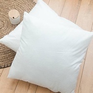 Ii Ofauri Cuhion Pillow 5555