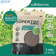 TGWH เมล็ดเพาะต้นอ่อน ไควาเระ (White Radish Microgreen) SUPERTOP ขนาด 1 KG.