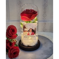 MAWAR Eternal Rose Beauty And The Beast