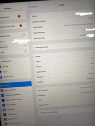 IPad Pro 12.9 256gb 4th gen