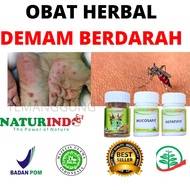 Herbal Medicine Malaria Fever Blood