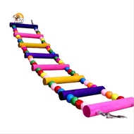 [Tendediy]  Multicolor Ladder Bridge Budgie Parrot Climbing Bite Toy Parakeet Swing Bird Toy