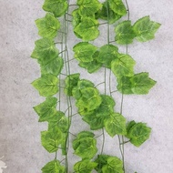 ARIANI1318 GRAPE LEAVES D7 PERLUSIN HOME DECORATION SHABBY