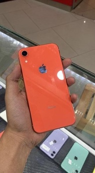 Iphone xr coral 64 new
