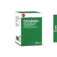 GKBIO • GKB Cicadae+_GKBCCP Cordyceps Cicadae Prevent Cataract Dry Eye Supplement 飞蚊症 蟲草花 金蝉花 干眼症