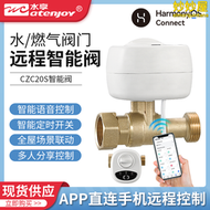 【好康】水享wifi鴻蒙智能電磁閥聯動水浸衛士燃氣警報器漏水漏氣保護神器