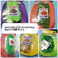 Ready-Made Coin Ribbon Set Mangosteen