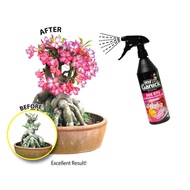 BABA MR GANICK FLOWERING FERTILIZER 50X RTU / BAJA BUNGA BABA SPRAY